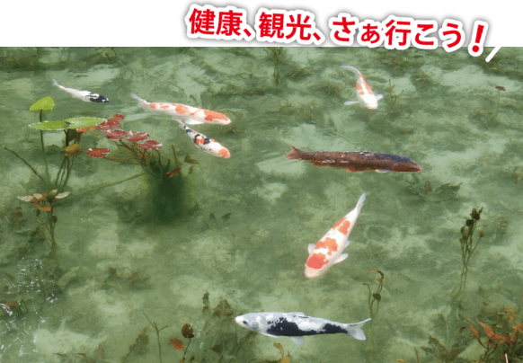 fv_sp